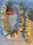 Champagne Shells!