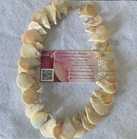 Champagne Shells!
